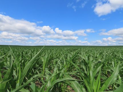 Property for sale in Cass County, North Dakota