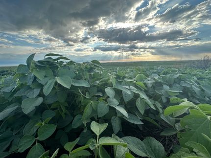 Property for sale in LaMoure County, North Dakota