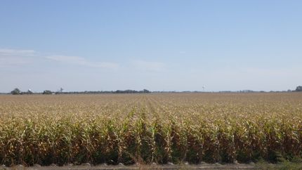 Farm Property for sale in Dawson County, Nebraska