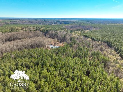 Hunting Land for sale in Allendale County, South Carolina