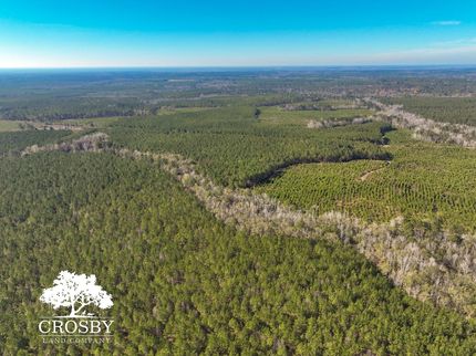 Property for sale in Allendale County, South Carolina