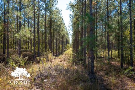 Property for sale in Allendale County, South Carolina