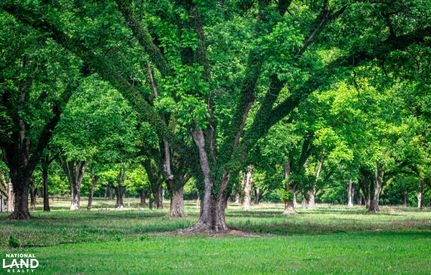 Timberland Property for sale in Hinds County, Mississippi