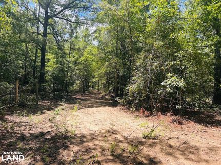 Undeveloped Land for sale in Marion County, Georgia