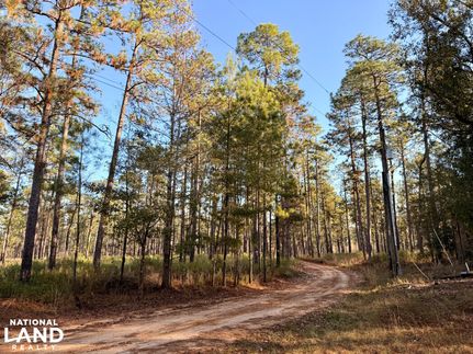 Property for sale in Baldwin County, Alabama