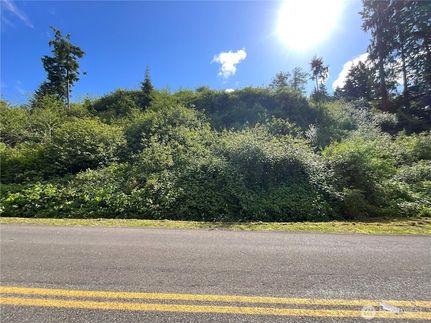 Property for sale in Grays Harbor County, Washington
