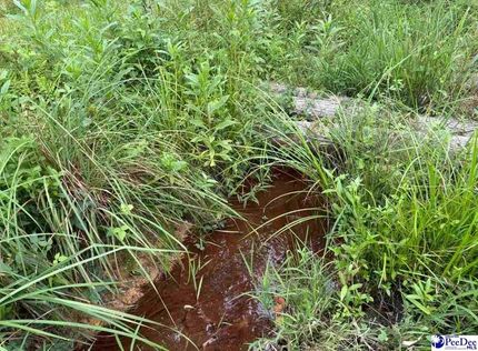 Undeveloped Land for sale in Lexington County, South Carolina