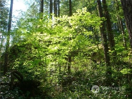 Property for sale in Mason County, Washington