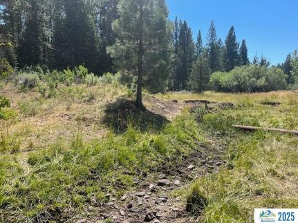 Undeveloped Land for sale in Lassen County, California