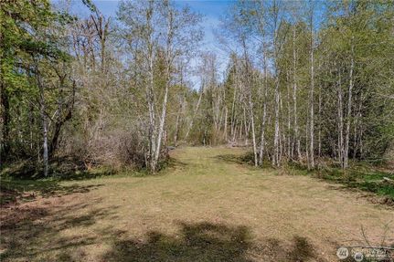 Undeveloped Land for sale in Mason County, Washington