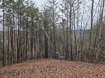 Property for sale in Clay County, North Carolina