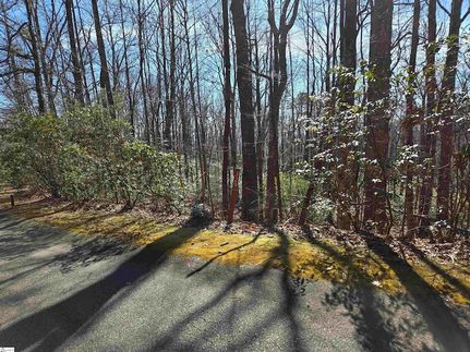 Undeveloped Land for sale in Greenville County, South Carolina