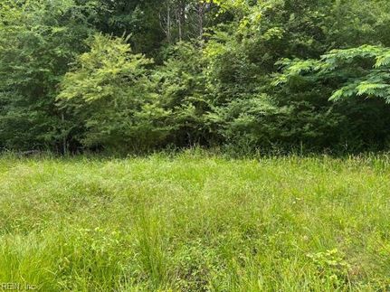 Undeveloped Land for sale in Southampton County, Virginia