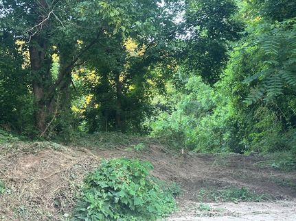 Property for sale in Marion County, Kentucky