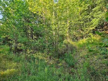 Property for sale in Monongalia County, West Virginia