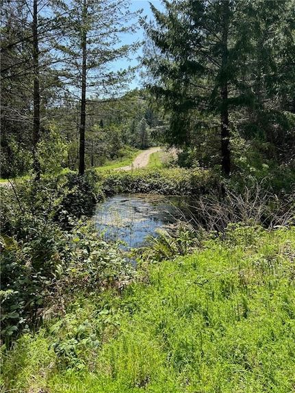 Property for sale in Lake County, California