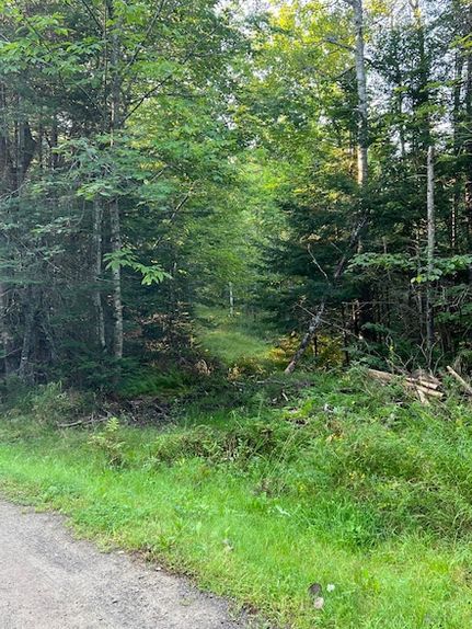 Property for sale in Penobscot County, Maine
