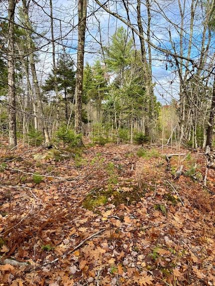 Property for sale in Hancock County, Maine