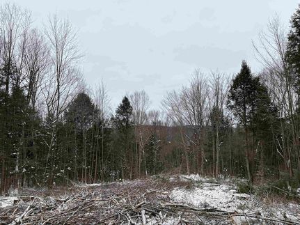 Waterfront Property for sale in Caledonia County, Vermont
