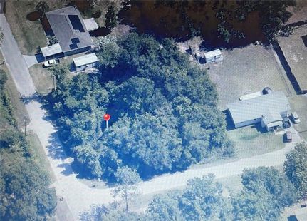 Undeveloped Land for sale in Marion County, Florida