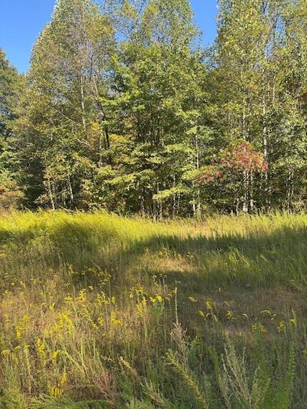 Property for sale in Fayette County, West Virginia