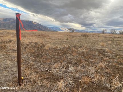 Property for sale in Lyon County, Nevada