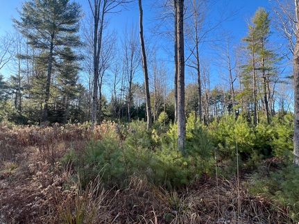 Property for sale in Sagadahoc County, Maine