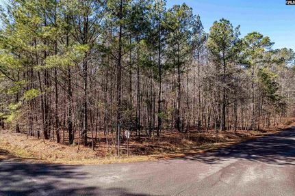 Property for sale in Saluda County, South Carolina