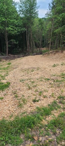 Property for sale in Marion County, Alabama