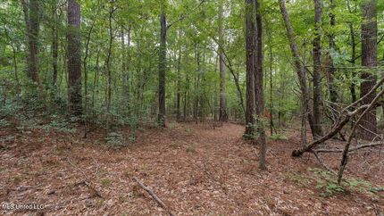 Property for sale in Rankin County, Mississippi