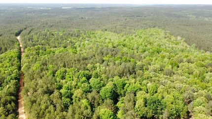 Timberland Property for sale in Tishomingo County, Mississippi