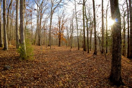 Recreational Property for sale in Madison County, Arkansas