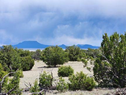 Undeveloped Land for sale in Catron County, New Mexico
