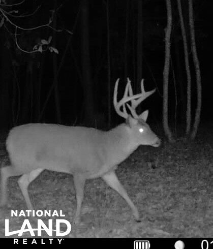 Property for sale in Lincoln County, Mississippi