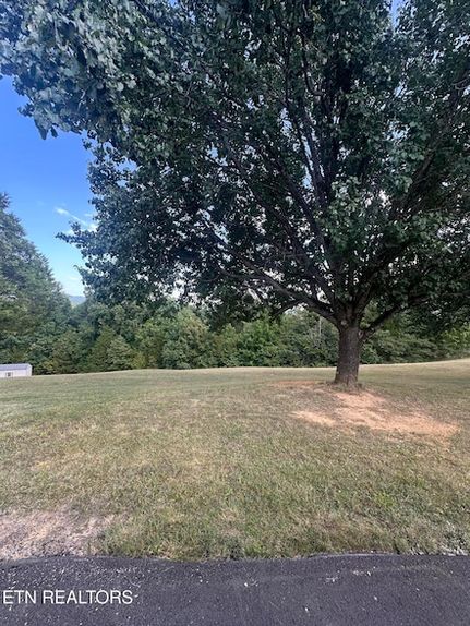 Undeveloped Land for sale in Pickett County, Tennessee