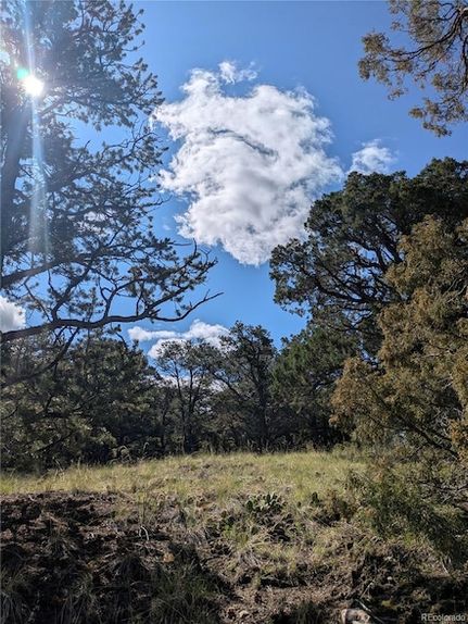 Undeveloped Land for sale in Saguache County, Colorado