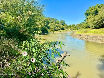 Lakefront Property for sale in Sharkey County, Mississippi