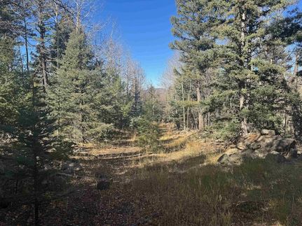 Property for sale in Colfax County, New Mexico