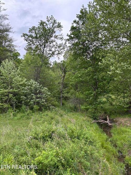 Property for sale in Scott County, Tennessee