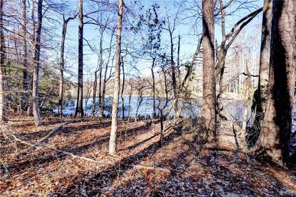 Undeveloped Land for sale in Isle of Wight County, Virginia