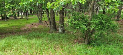 Undeveloped Land for sale in Carbon County, Pennsylvania