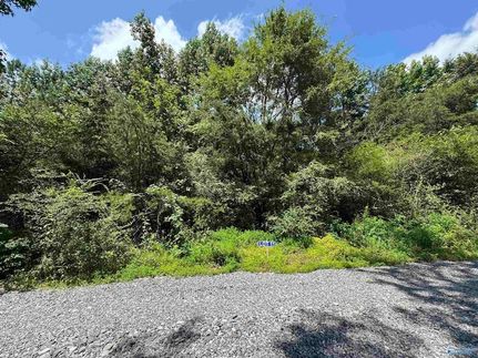 Property for sale in Marshall County, Alabama