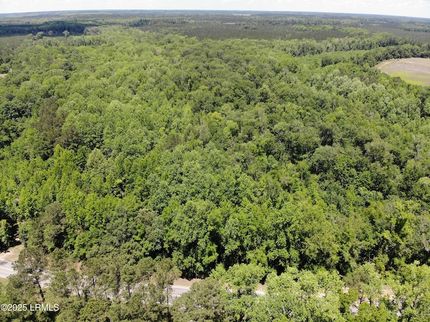 Property for sale in Allendale County, South Carolina