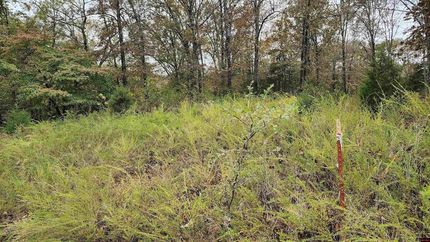 Property for sale in Marion County, Arkansas