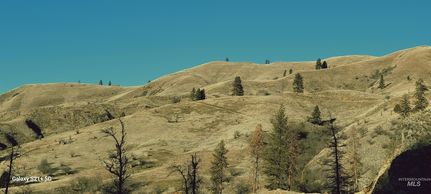 Property for sale in Idaho County, Idaho