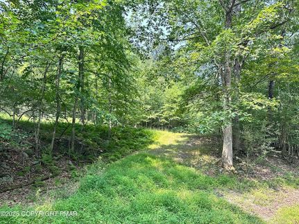 Undeveloped Land for sale in Monroe County, Pennsylvania