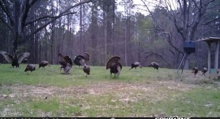 Property for sale in Webster County, Mississippi