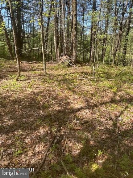 Property for sale in Clinton County, Pennsylvania