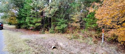 Property for sale in Dallas County, Arkansas