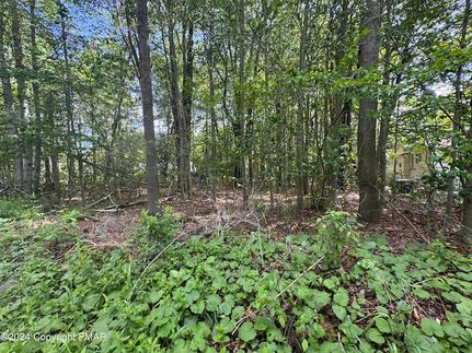 Undeveloped Land for sale in Monroe County, Pennsylvania